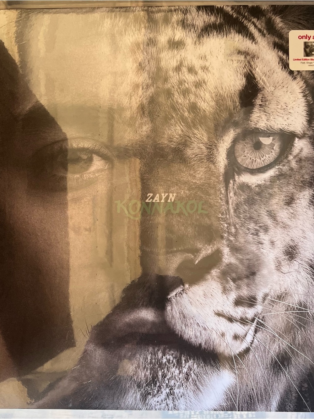 ZAYN– Konnakol (Pop)